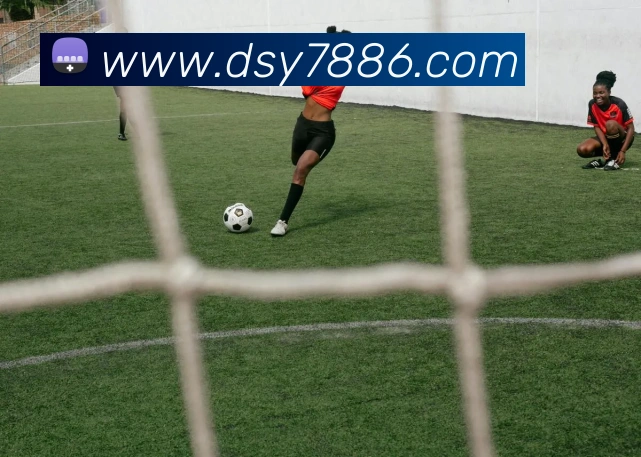 App Interface Preview